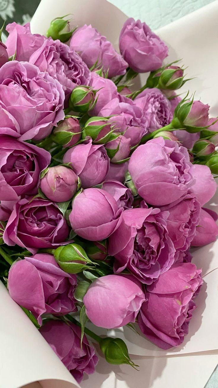 QuillMeadowHarbor workshop space where corporate flower arrangements are designed and prepared for business delivery