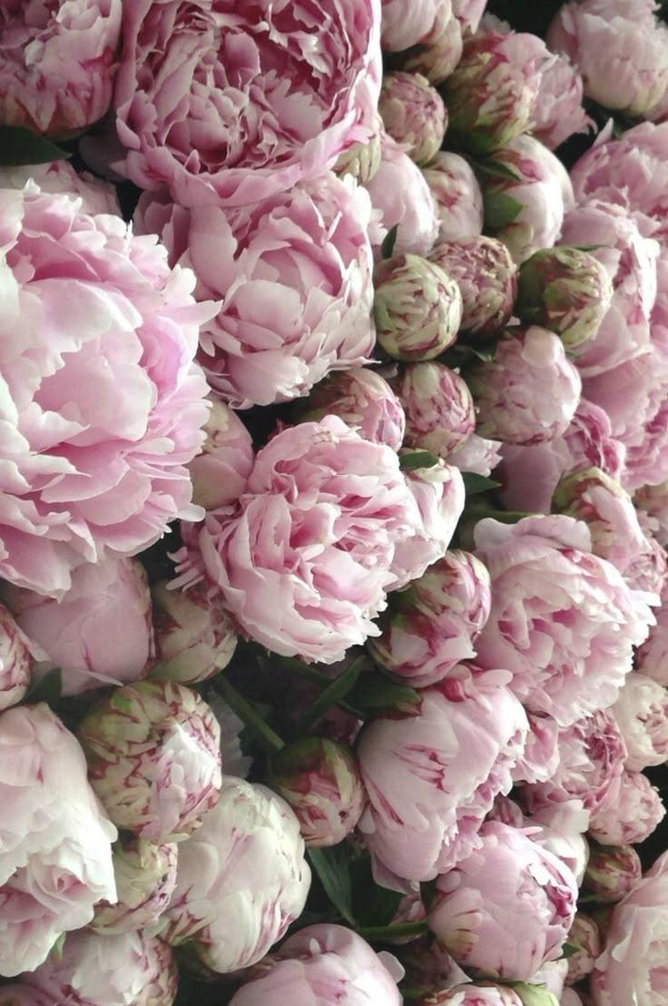 Corporate meeting room with precisely timed floral displays that stay elegant throughout the workday